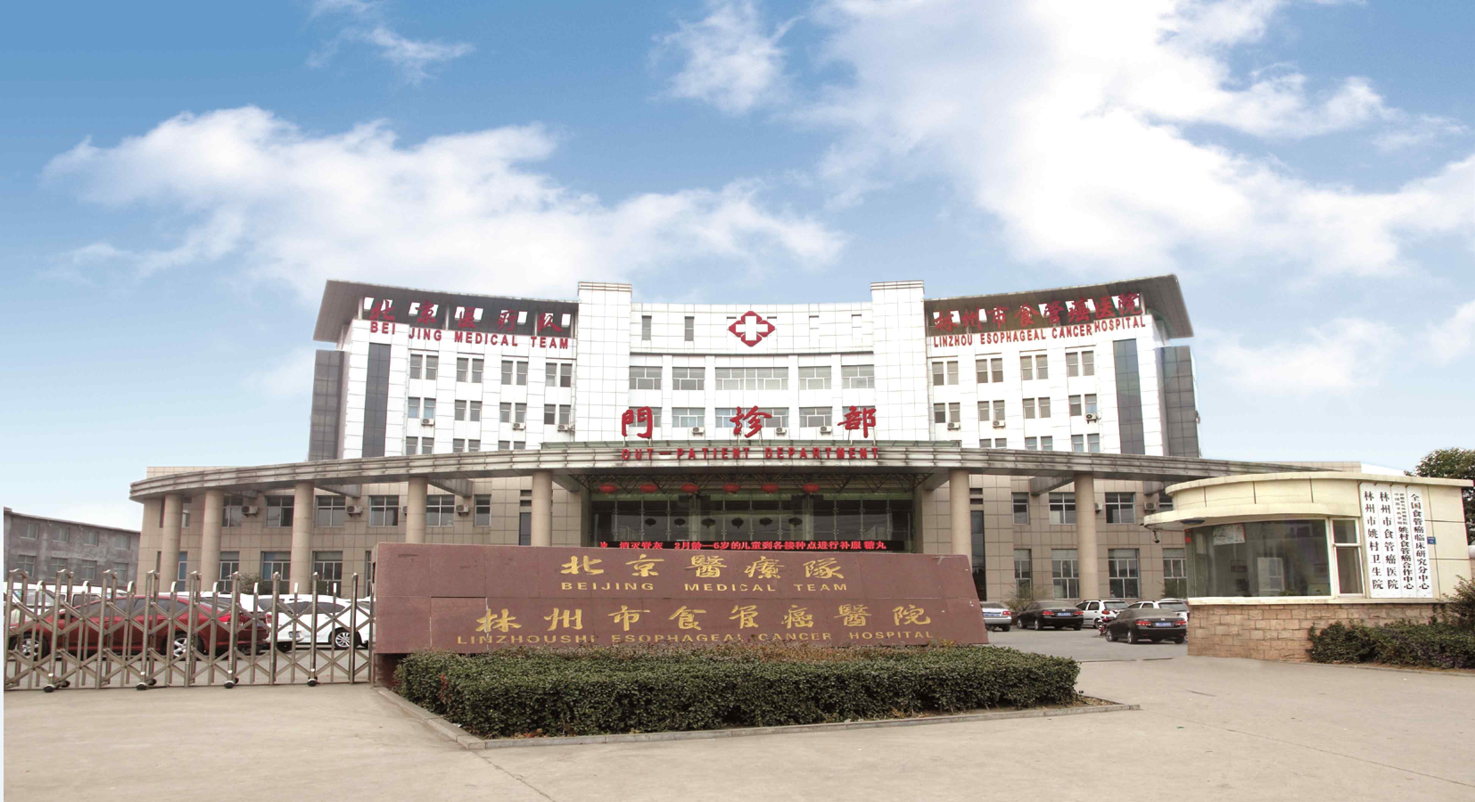 病因和发病机理